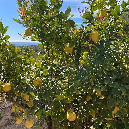 Moraira Apartment 3 Bedrooms Εξωτερικό φωτογραφία
